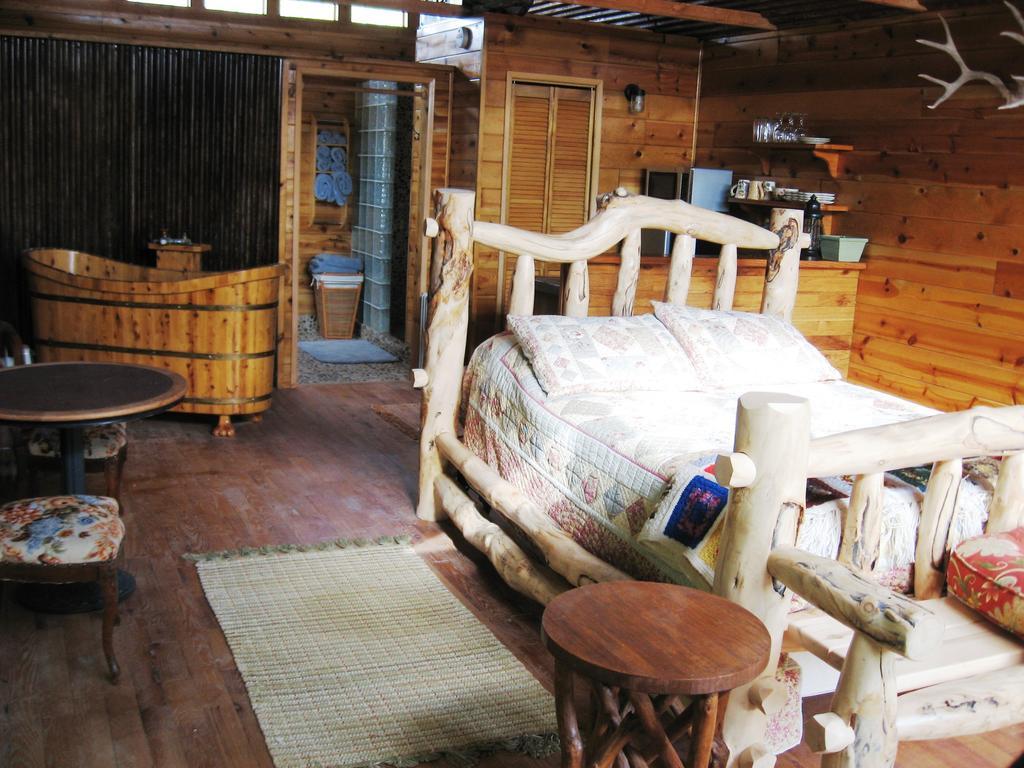 Shady Lady Bed And Breakfast Scottys Junction Rum bild